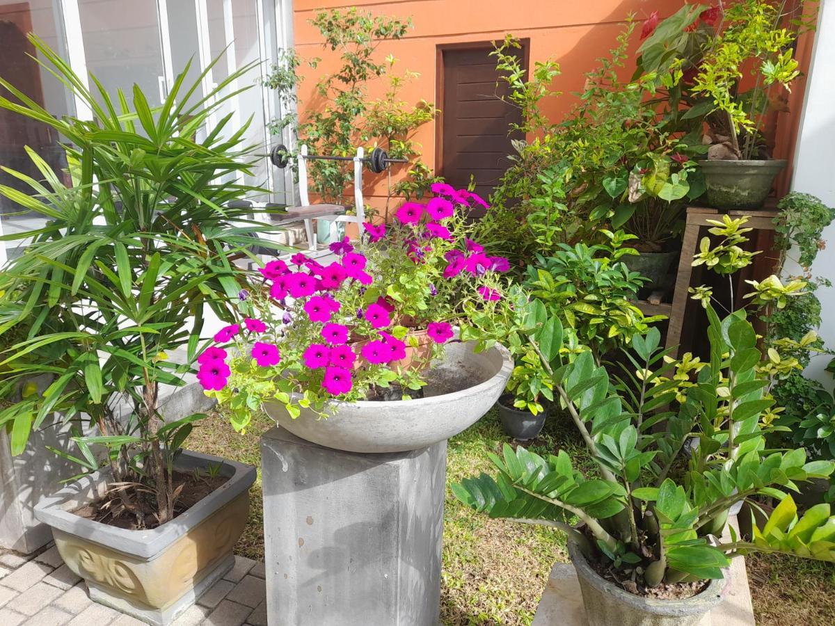 Hotel Marine At Negombo Beach Exterior foto